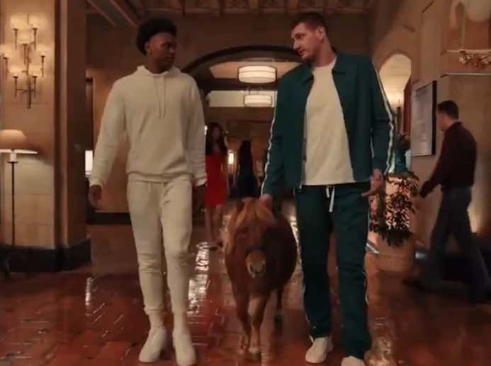 Barstool Sports on X: "Nikola Jokic Is Finally Doing Commercials And Of Course All It Took Was Giving Him A Pony https://t.co/12Qhjb9NAh https://t.co/aCarxpQaA2" / X