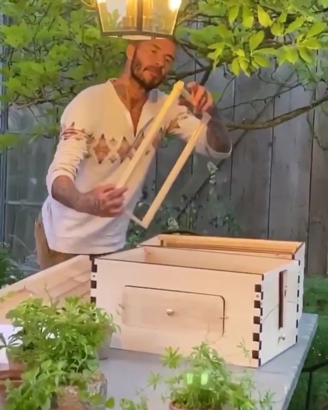 David Beckham left buzzing as he reveals his bees are making honey after he built a hive at his Cotswolds mansion | The Irish Sun